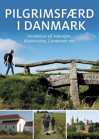 Jørgen Hansen (f. 1951-05-06): Pilgrimsfærd i Danmark : vandreture på Hærvejen, Klosterruten, Camønoen med flere