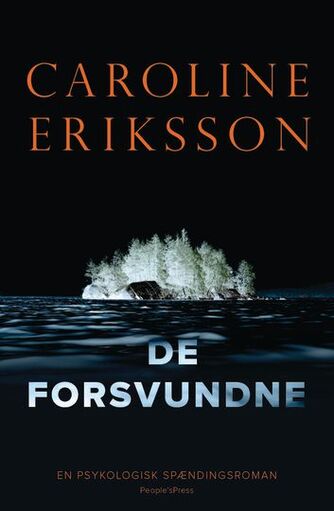 Caroline Eriksson (f. 1976): De forsvundne : spændingsroman